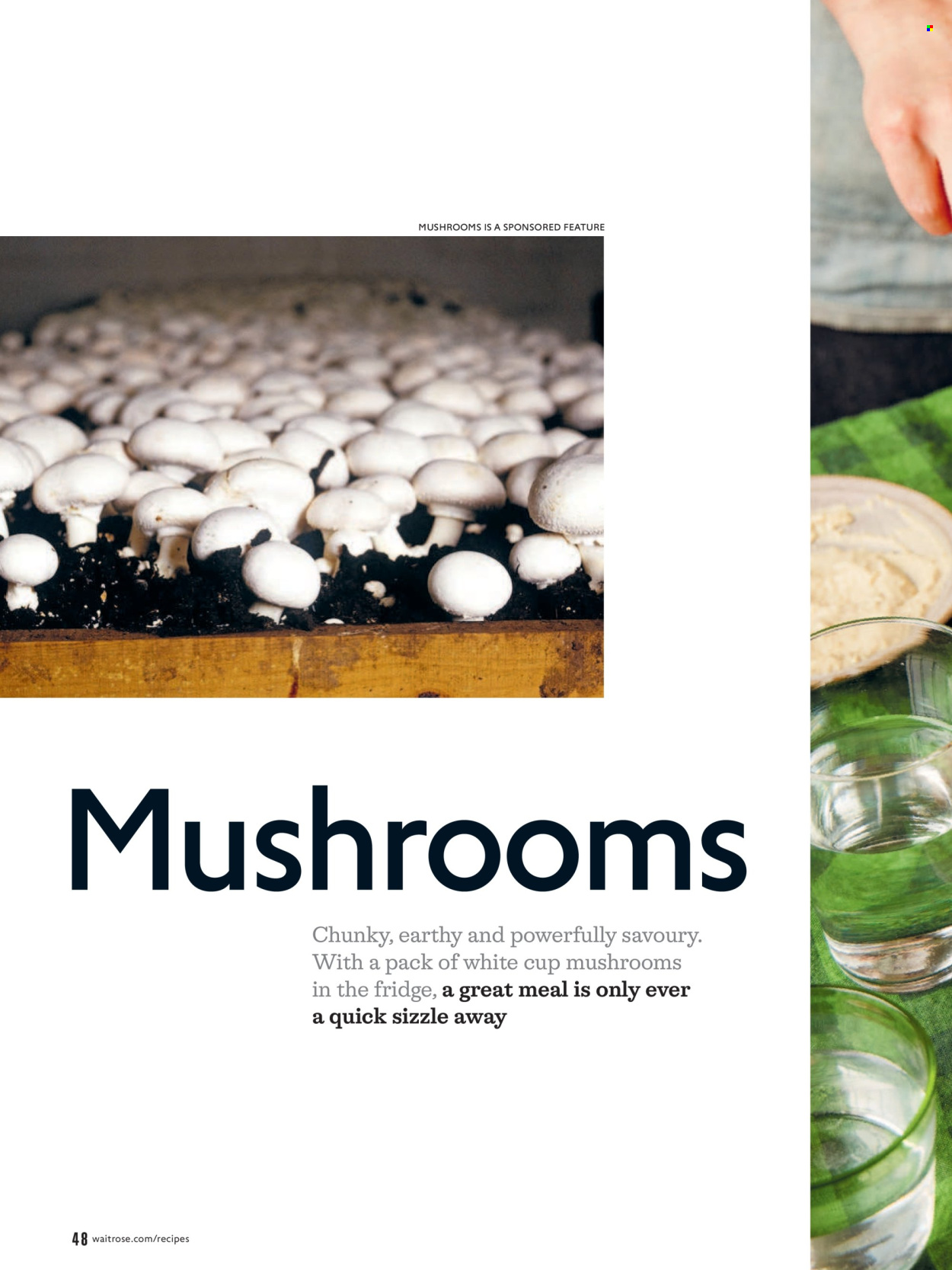 Waitrose offer - 01/09/2026 - 30/09/2026. Page 48