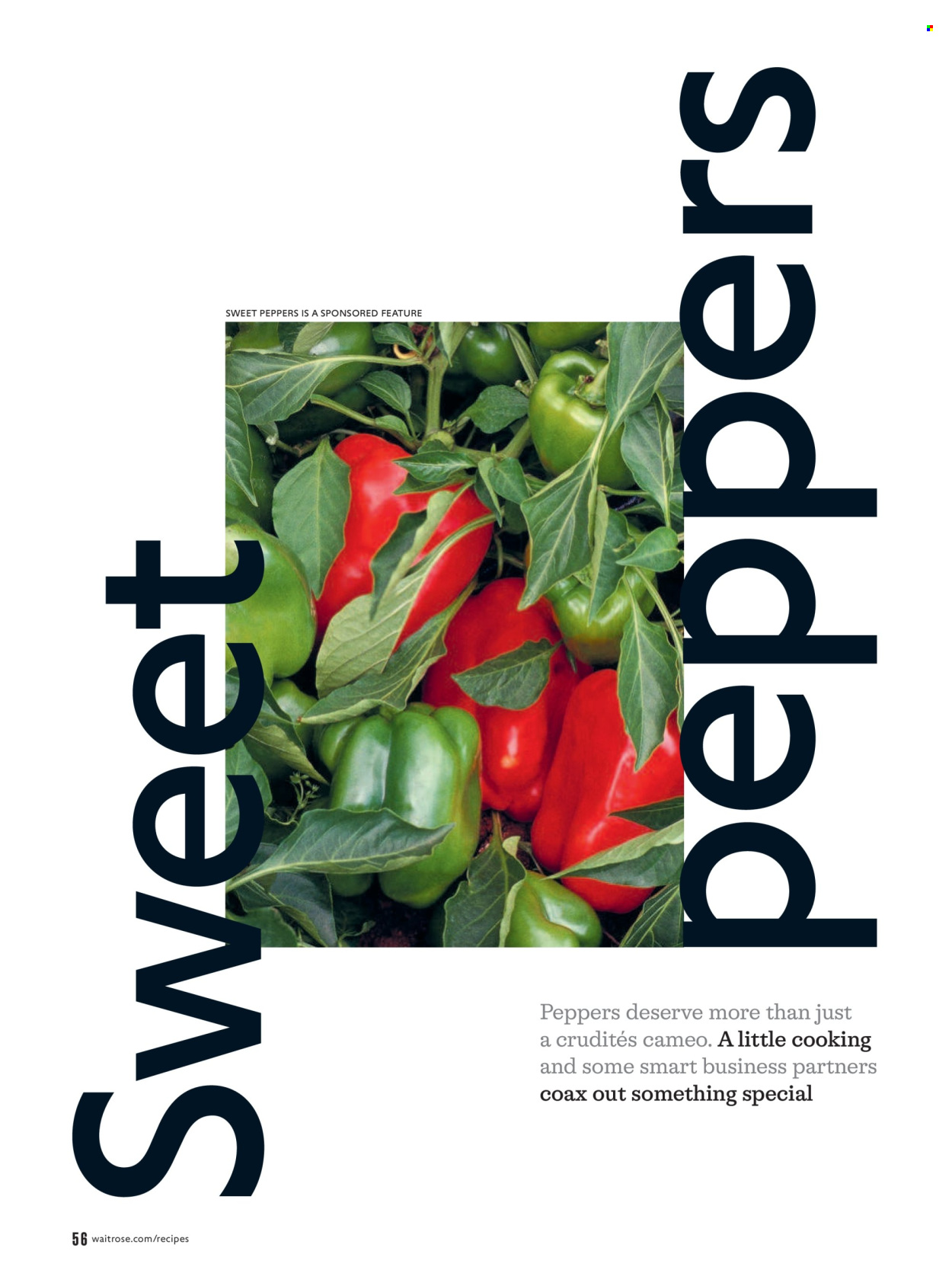 Waitrose offer - 01/09/2026 - 30/09/2026. Page 56