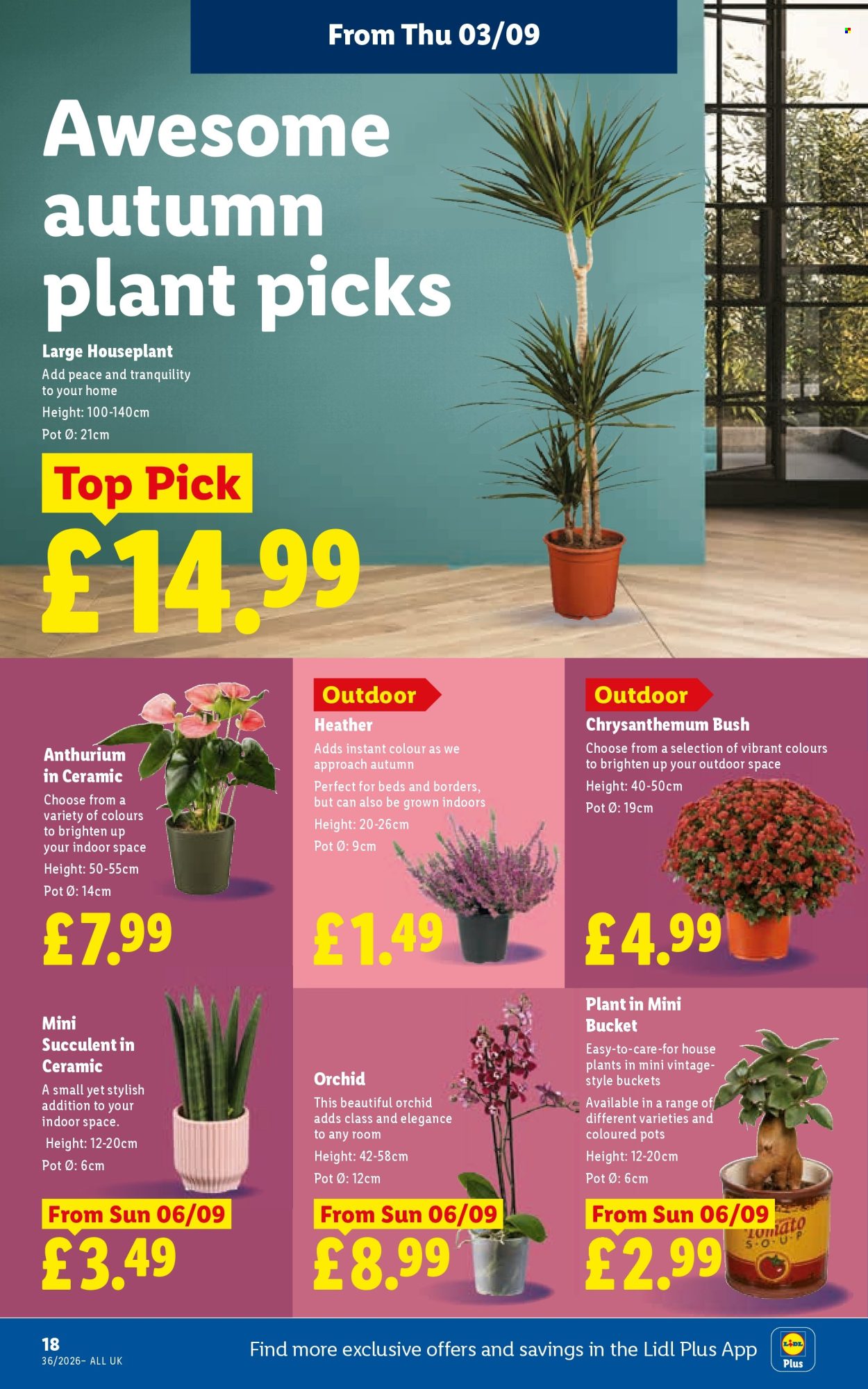 Lidl offer - 03/09/2026 - 09/09/2026. Page 20