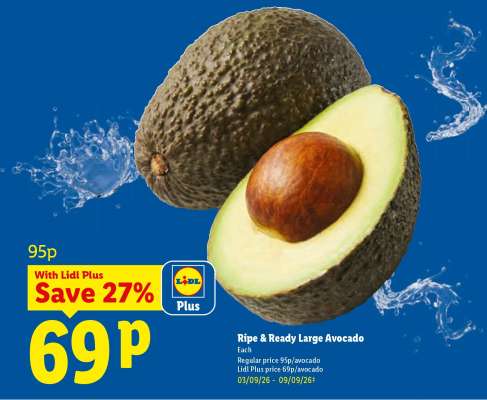 Ripe & Ready Large Avocado