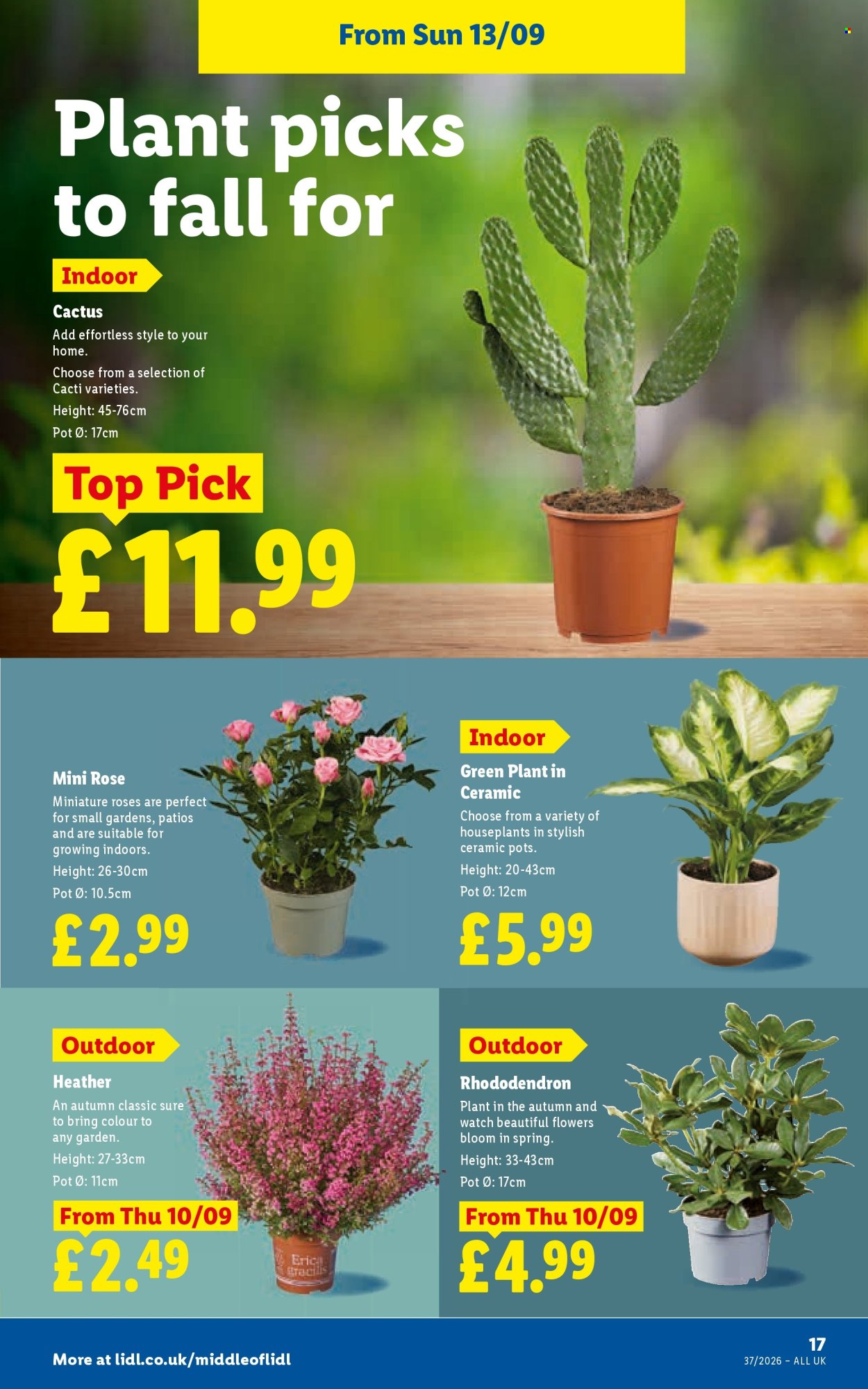 Lidl offer - 10/09/2026 - 16/09/2026. Page 19