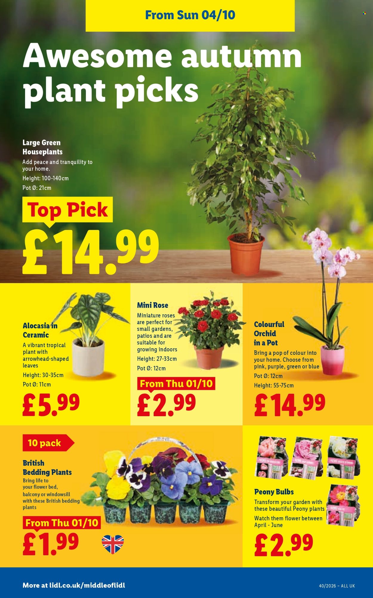 Lidl offer - 01/10/2026 - 07/10/2026. Page 32