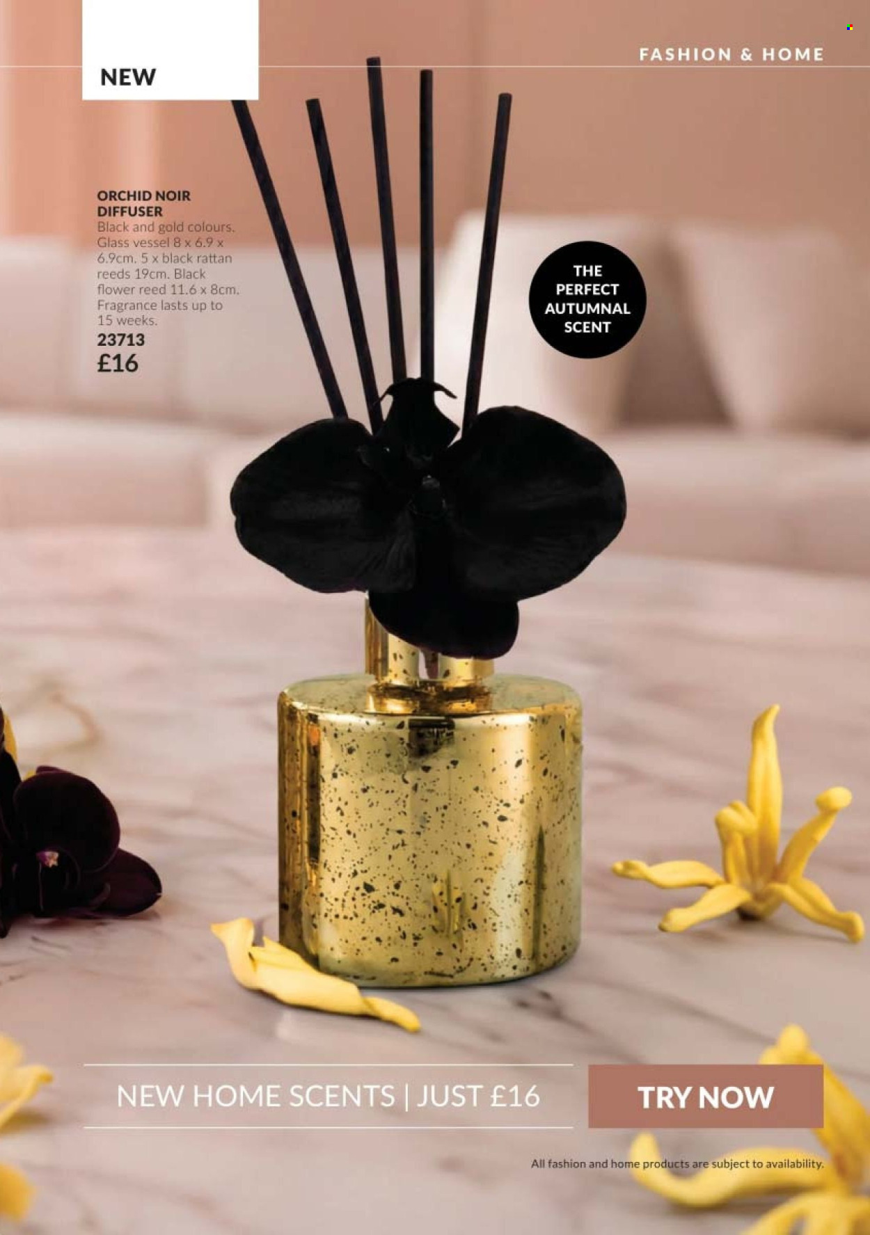 Avon offer - 01/10/2026 - 31/10/2026. Page 139