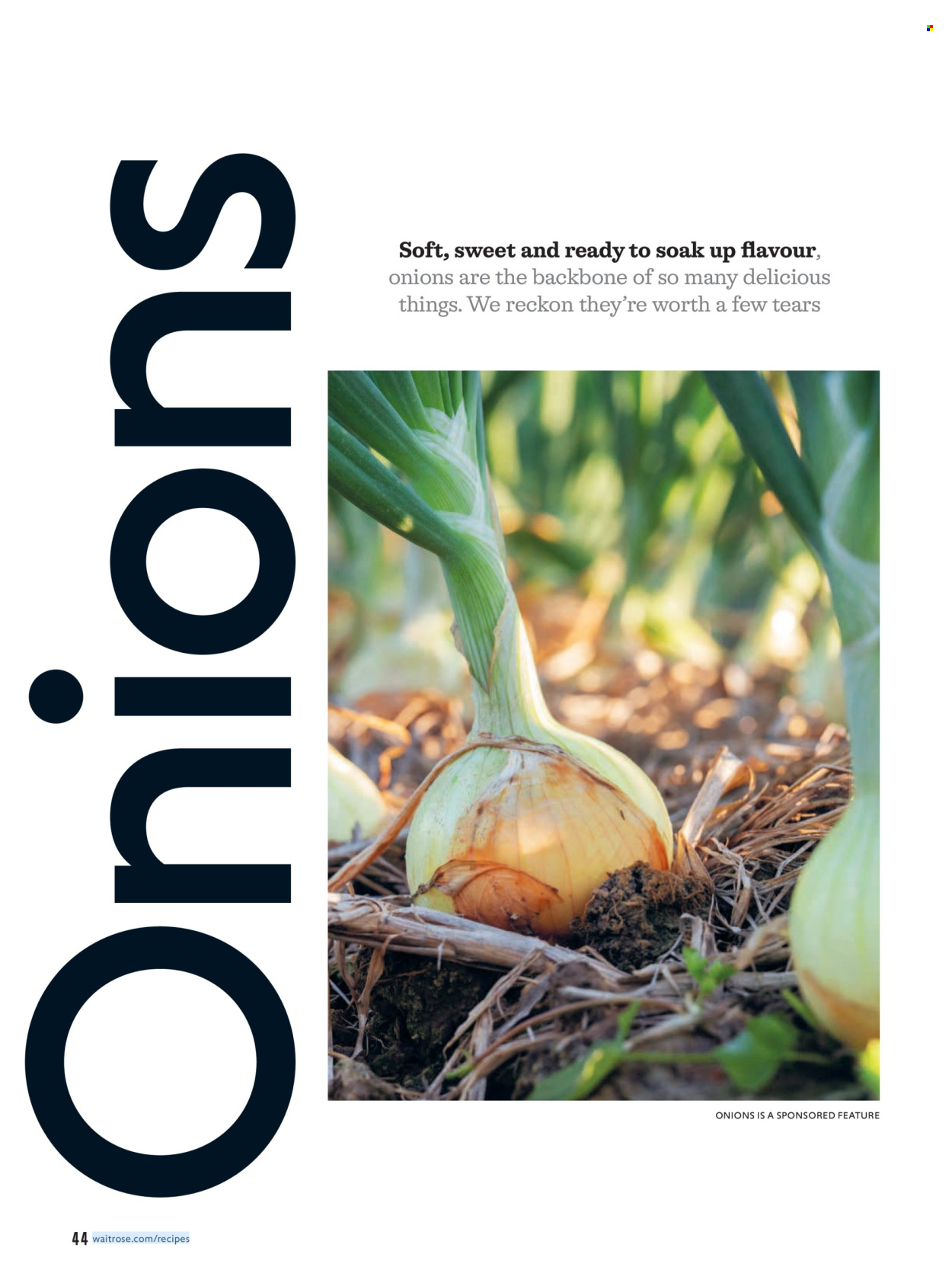 Waitrose offer - 01/10/2026 - 31/10/2026. Page 44
