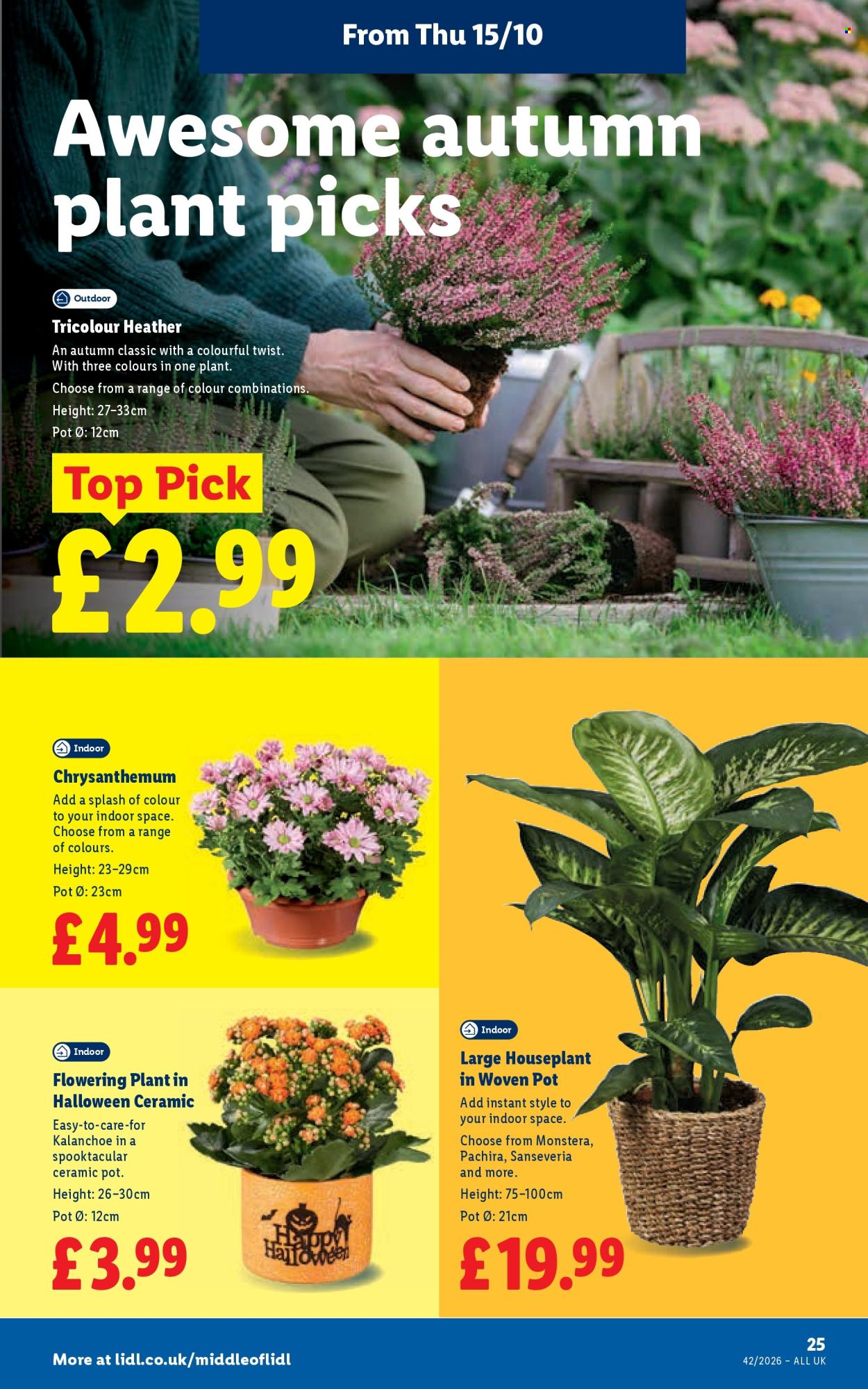 Lidl offer - 15/10/2026 - 21/10/2026. Page 27