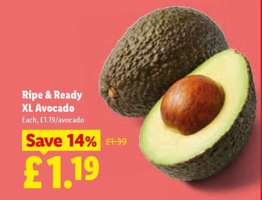Ripe & Ready XL Avocado