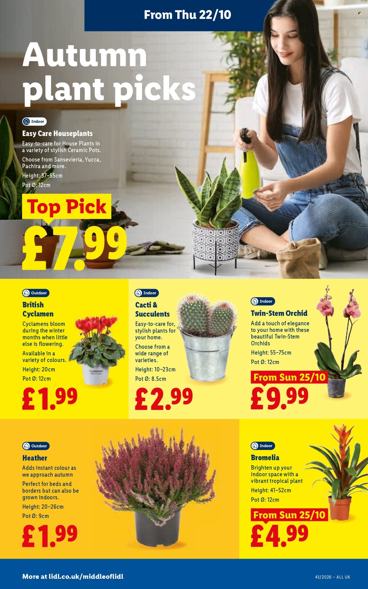 Lidl offer - 22/10/2026 - 28/10/2026. Page 28