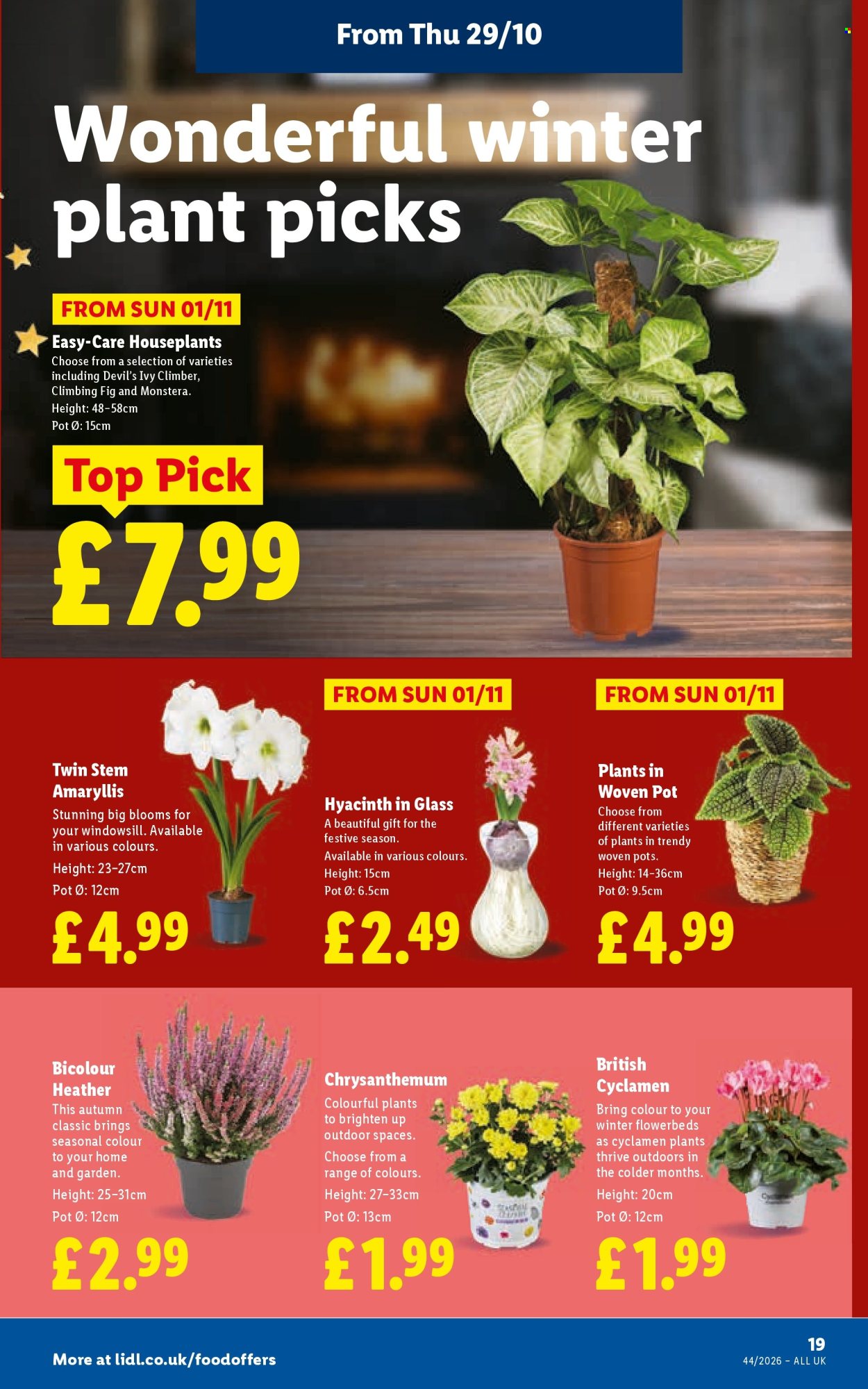 Lidl offer - 29/10/2026 - 04/11/2026. Page 23