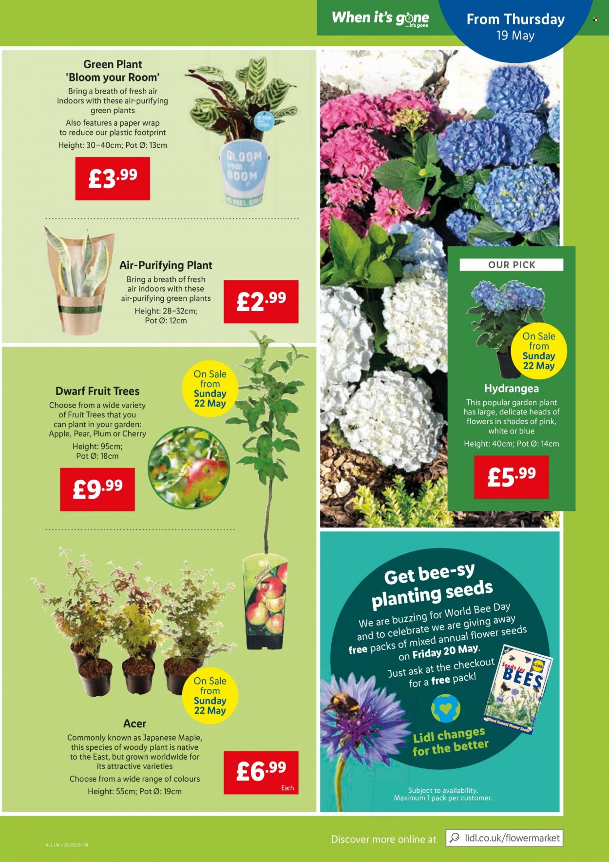Lidl offer  - 19.5.2022 - 25.5.2022. Page 13.