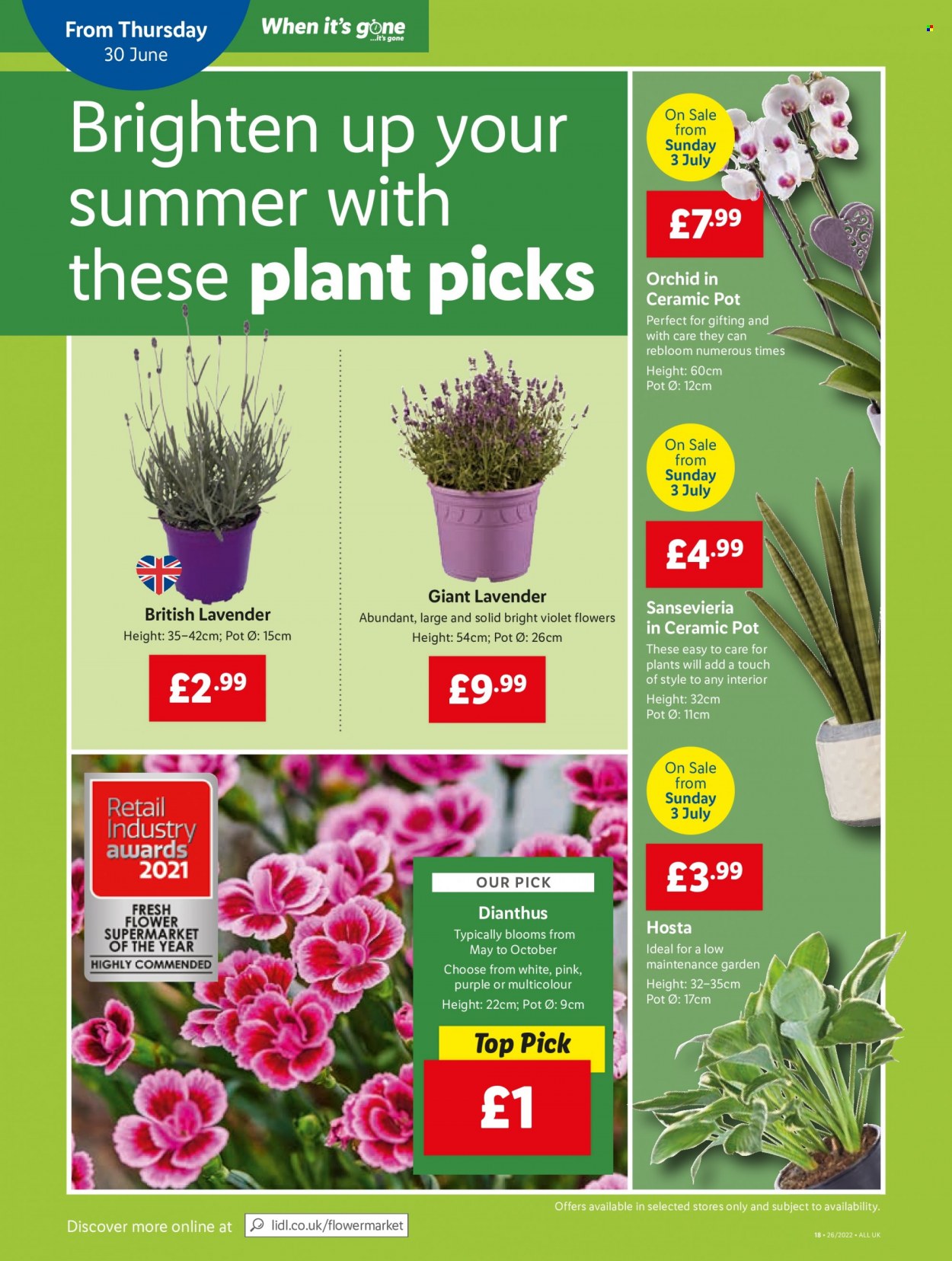 Lidl offer  - 30.6.2022 - 6.7.2022. Page 16.